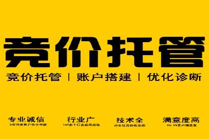 成功案例分享：SEM代运营助力企业快速拓展市场